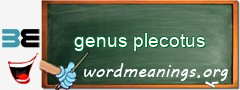WordMeaning blackboard for genus plecotus